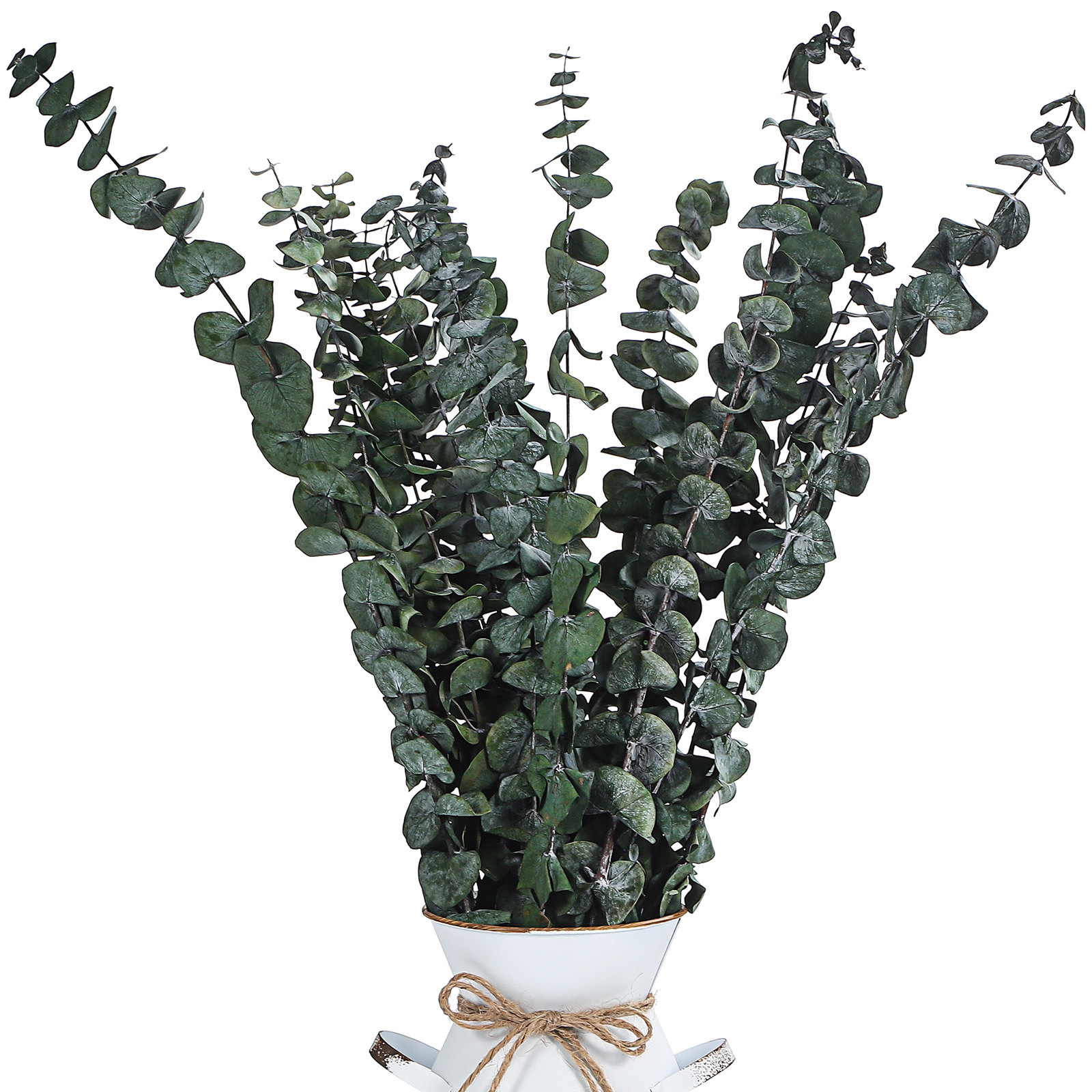 Eucalyptus Preserved - 20 Pcs Eucalyptus Leaves Green 40