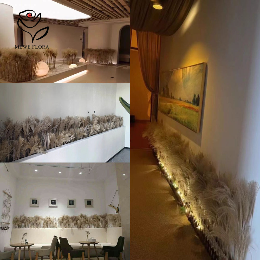 200PCS Natural Dried Fluffy Re - Eucalyptus Preserved 评论和价格