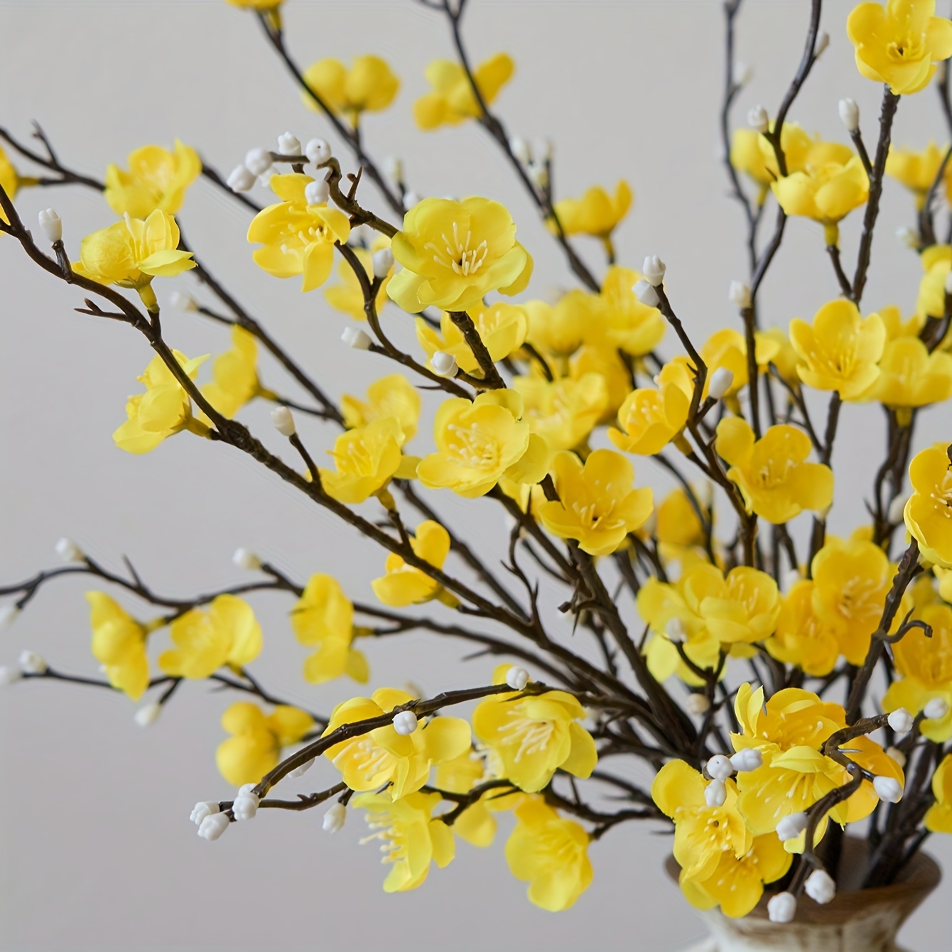 5 personal flower yellow plum  - Eucalyptus Preserved 评论和价格