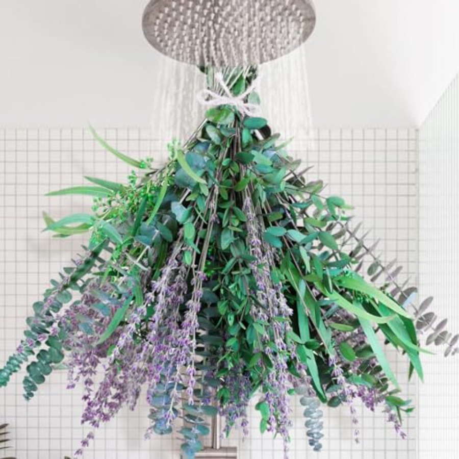 65 Pcs Mix Dried Eucalyptus St - Eucalyptus Preserved 评论和价格