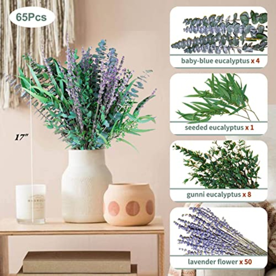 65 Pcs Mix Dried Eucalyptus St - Eucalyptus Preserved 评论和价格