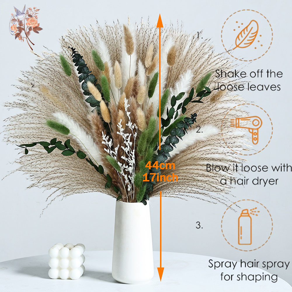 85PCS Natural Dried Flowers Pa - Eucalyptus Preserved 评论和价格