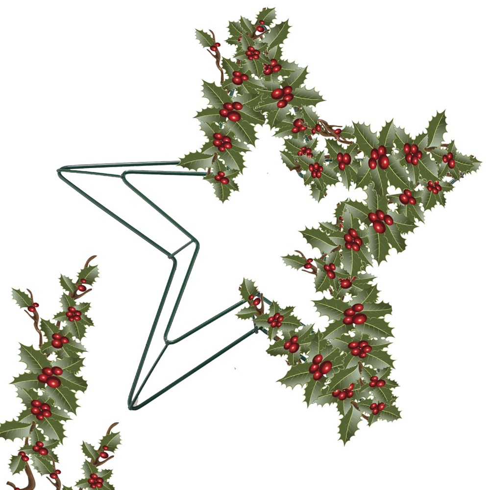 Floral Crafts Metal Wire Star  - Wreath Form Wire 评论和价格