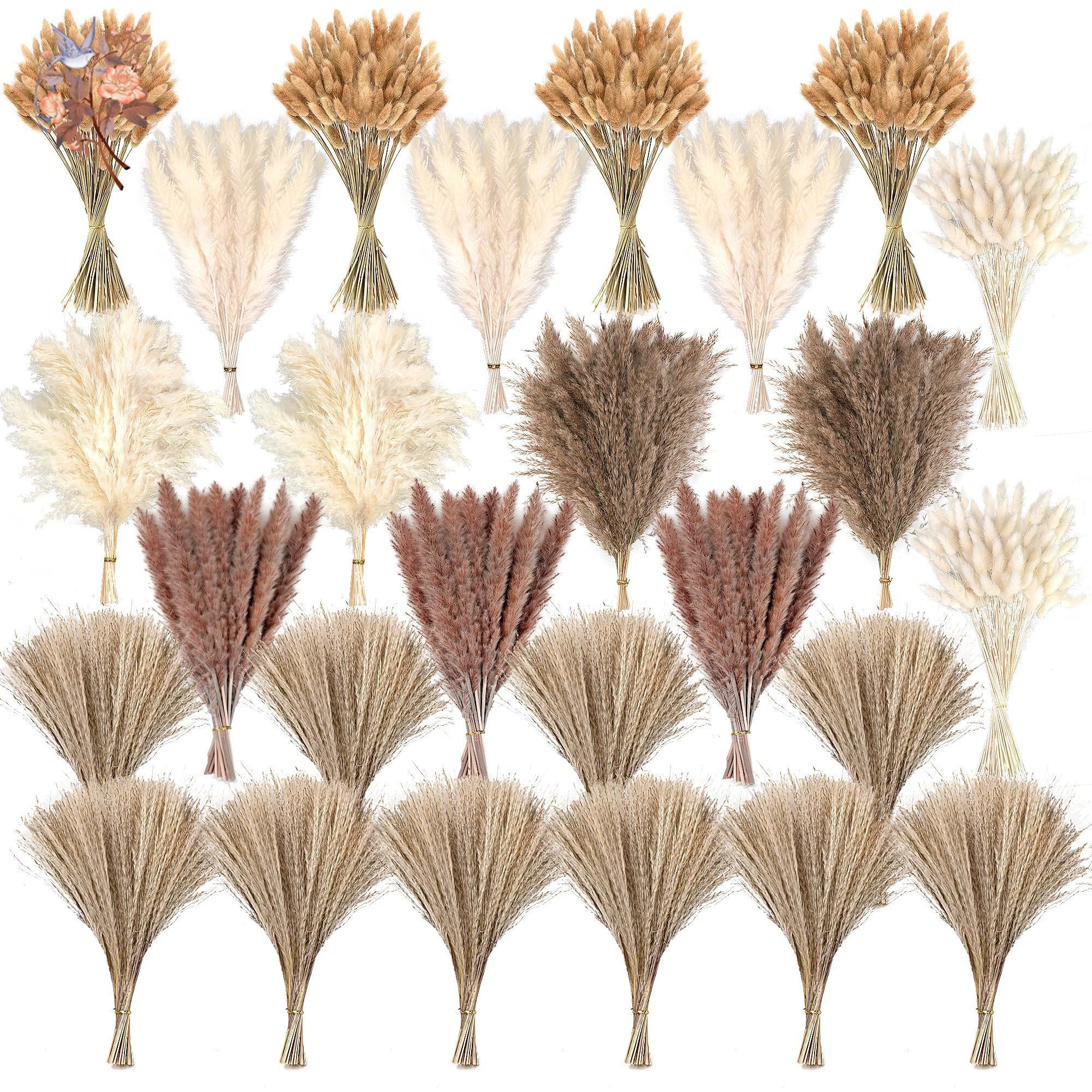 300Pcs Natural Large Pampas Gr - Eucalyptus Preserved 评论和价格