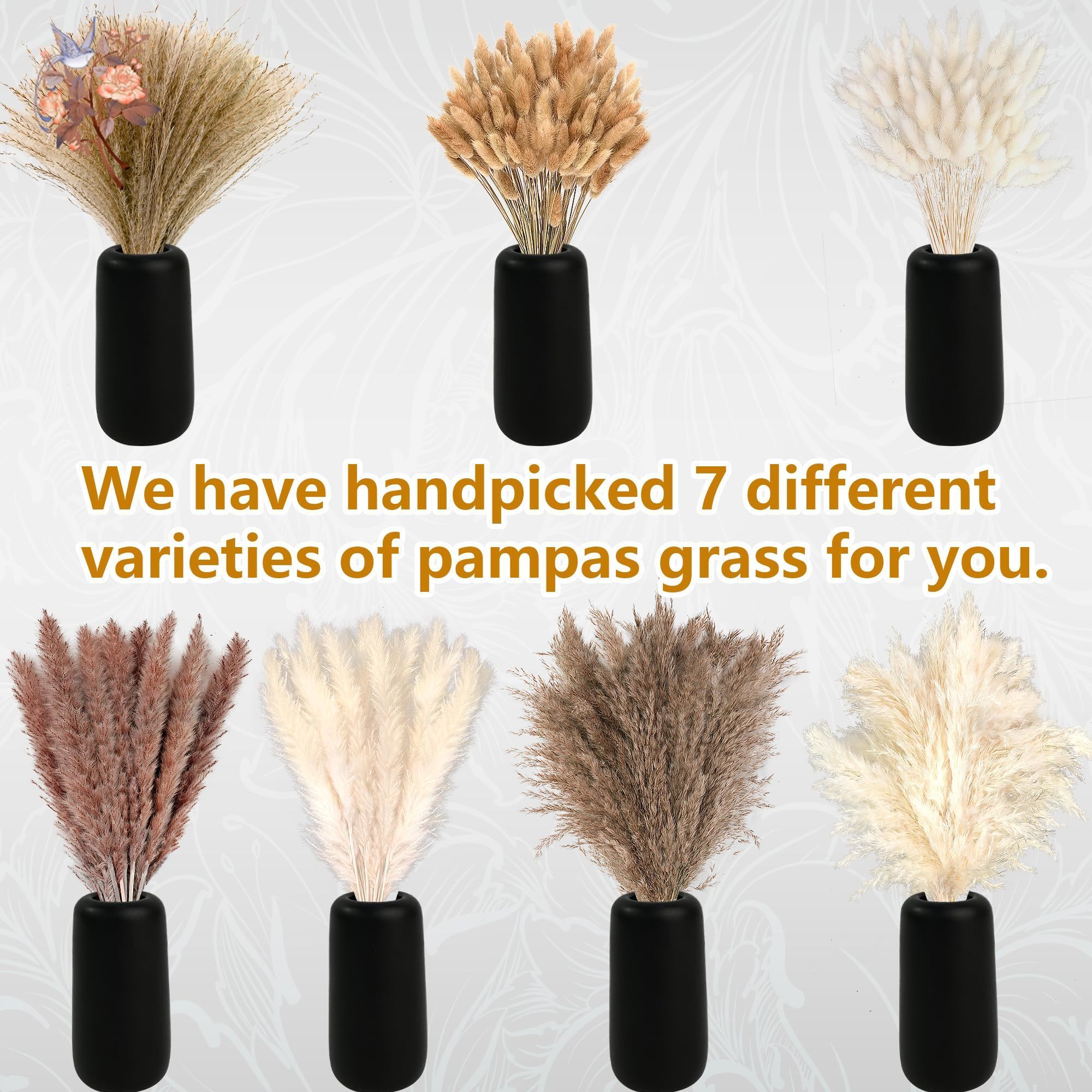 300Pcs Natural Large Pampas Gr - Eucalyptus Preserved 评论和价格