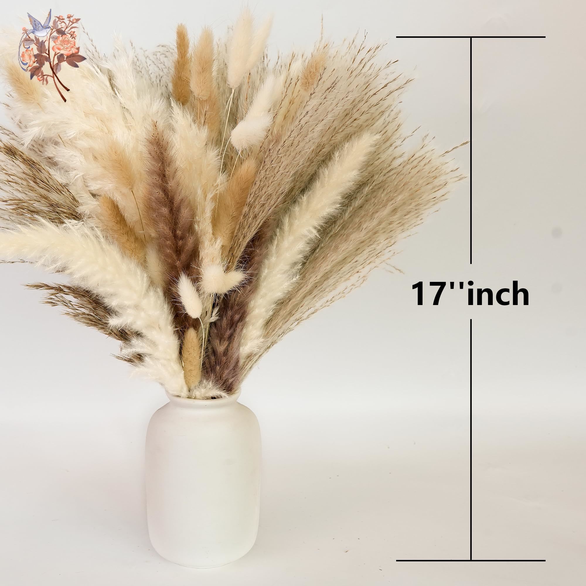 300Pcs Natural Large Pampas Gr - Eucalyptus Preserved 评论和价格