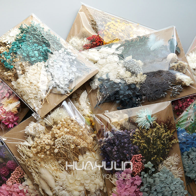 1 Pack Artificial Plants Dried - Eucalyptus Preserved 评论和价格