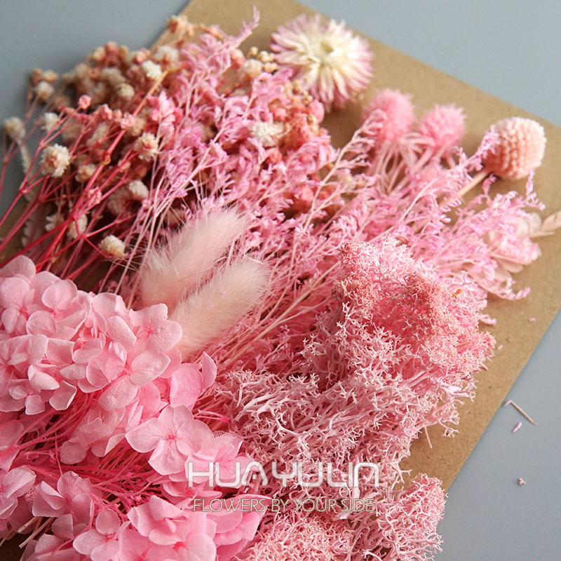 1 Pack Artificial Plants Dried - Eucalyptus Preserved 评论和价格
