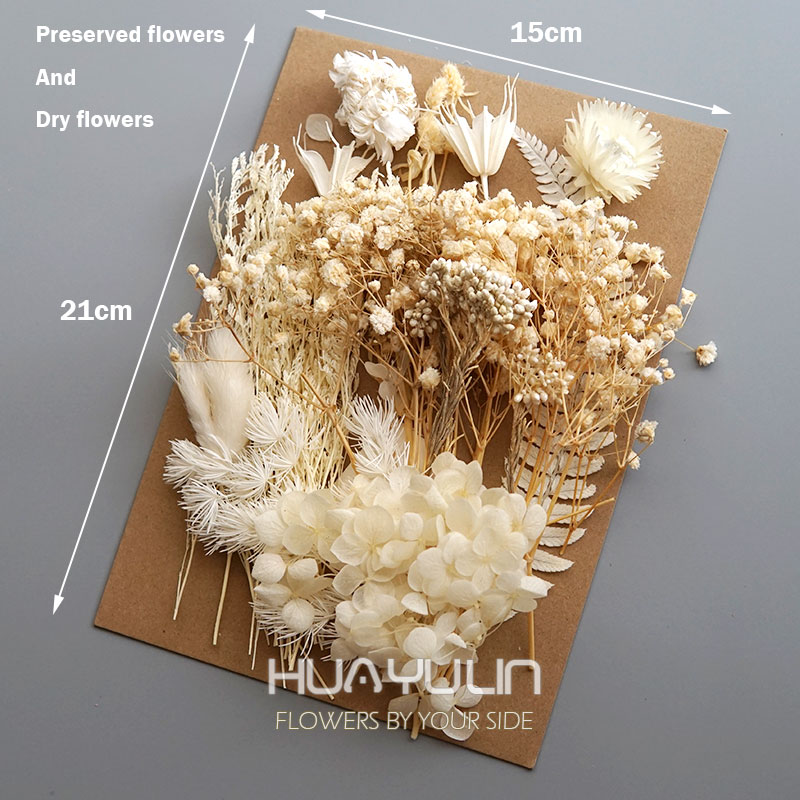 1 Pack Artificial Plants Dried - Eucalyptus Preserved 评论和价格